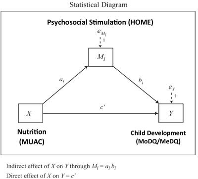 Child development beyond the nutrition-specific models: bridging the pathways via psychosocial stimulation